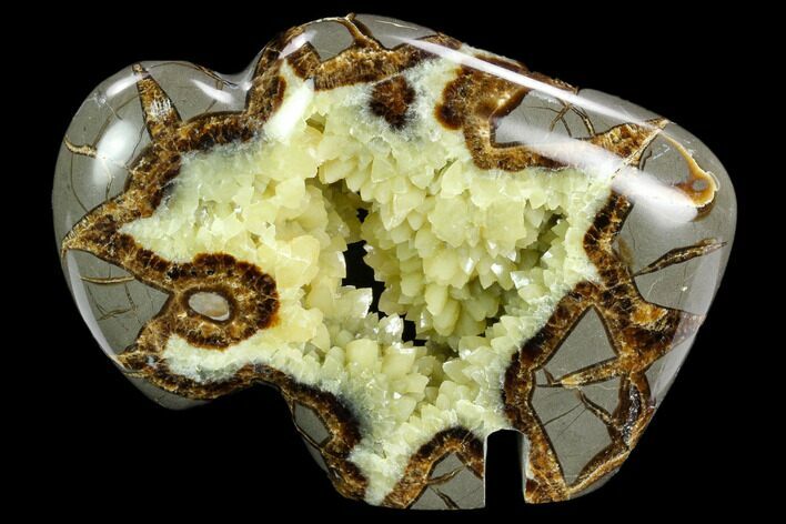 Calcite Crystal Filled, Polished Septarian Buffalo - Utah #123850